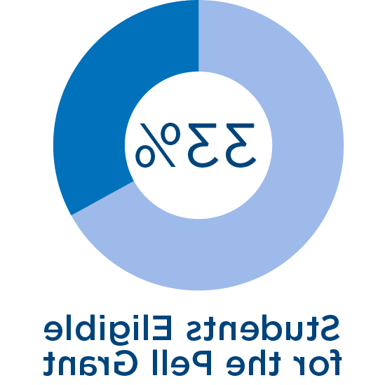 视图Icon_22-23_Pell Grant_Pie